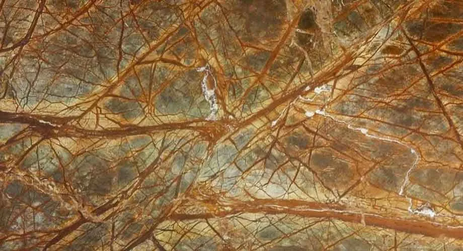Rainforest brown Marble Supplier