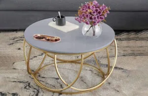 Ambaji white marble table