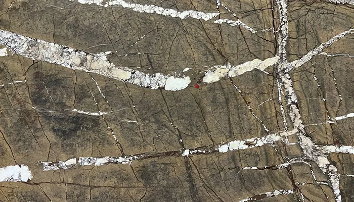 rainforest brown marble exporter